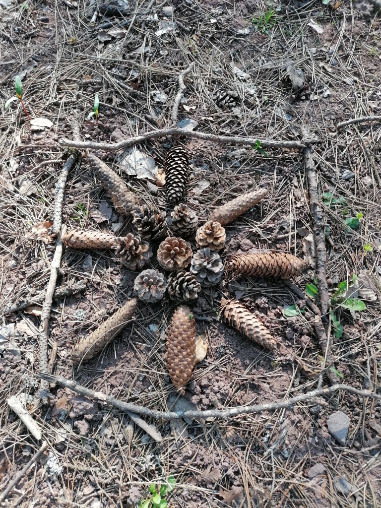 Geschenk an den Wald